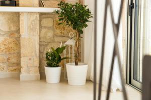Fotografie z fotogalerie ubytování ArtHill eco villas v destinaci Nikiti