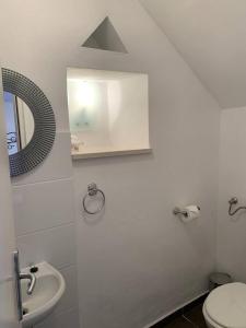 a bathroom with a sink and a mirror and a toilet at Picturesque Stonehouse in knockout Vrboska Hvar in Vrboska