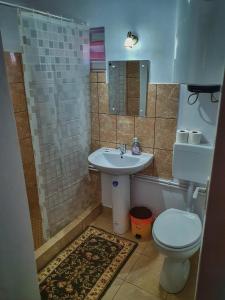 uma casa de banho com um lavatório, um WC e um chuveiro em Casa Rozalia em Breazova