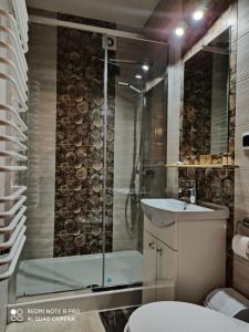 a bathroom with a shower and a toilet and a sink at Willa Tatry in Bańska Niżna +29 photos