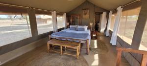 a bedroom with a bed in a room with windows at Zawadi Serengeti camp in Serengeti National Park