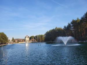 una fuente en medio de un lago en Vila Marija Zlatibor - Apartman 2, en Zlatibor