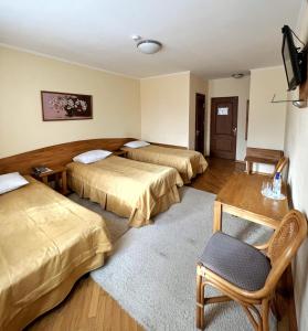 Televízia a/alebo spoločenská miestnosť v ubytovaní Hotel Zorepad