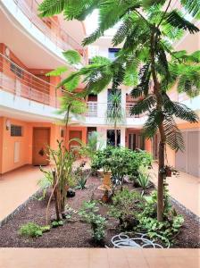 dziedziniec z drzewami i roślinami przed budynkiem w obiekcie Apartment in Playa San Juan, Casa Greg w mieście Playa de San Juan