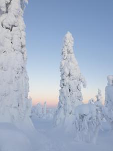 Lapin Lumilomat durante l'inverno