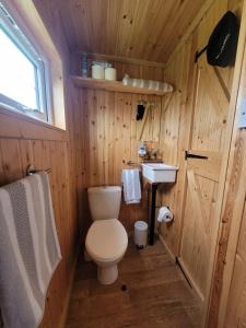 a small bathroom with a toilet and a sink at The Shepherds Hut at Forestview Farm in Greenisland