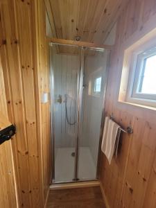 a shower in a wooden bathroom with a glass shower stall at The Shepherds Hut at Forestview Farm in Greenisland