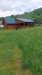 a barn with a blue roof in a field of grass at Садиба під Чертежиком 2 in Kolochava