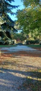 una carretera en un parque con árboles y hojas en Maison d'Emmannaelle, en Auros