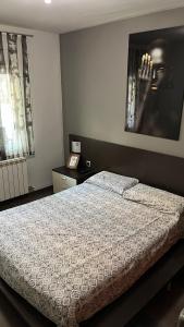 1 dormitorio con 1 cama y una foto en la pared en Apartamento turístico en el centro de Berga en Berga