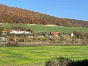 ein großes grünes Feld mit Häusern im Hintergrund in der Unterkunft Ferienwohnung Werratal in Obermaßfeld-Grimmenthal
