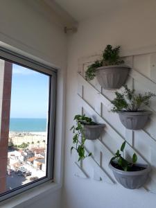 a room with three potted plants on a wall with a window at apartamento na praia de Iracema com vista mar in Fortaleza