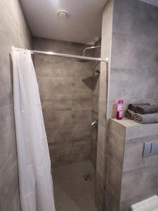 a shower with a shower curtain in a bathroom at Vytauto 422 Apartments by JK in Palanga