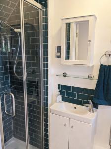 a bathroom with a shower and a sink and a mirror at Edward's Burrow in Lewes
