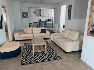 Sala de estar con 2 sofás y mesa de centro en Apollon house en Volos