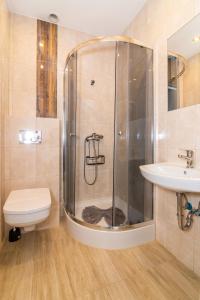 La salle de bains est pourvue d'une douche, de toilettes et d'un lavabo. dans l'établissement Willa Diament, à Kudowa-Zdrój
