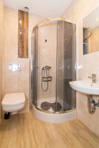 a bathroom with a shower and a toilet and a sink at Willa Diament in Kudowa-Zdrój +46 photos