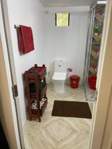 a bathroom with a toilet and a sink at Art Resort Goa in Palolem