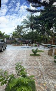 a courtyard with a stone floor with palm trees at family garden 