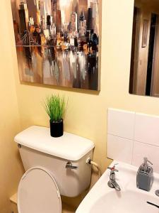 a bathroom with a toilet with a plant on top of it at Nottingham city view apartment in Nottingham