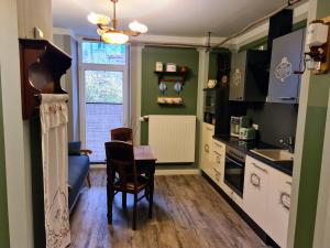 a kitchen with green walls and a table and a chair at Apartment Alte Schusterei in Freiberg