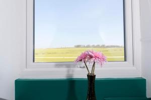 a vase with a pink flower in front of a window at Auckland View - a comfy & spacious 4bed with views in Coundon