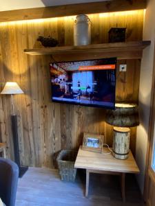a living room with a tv on a wooden wall at RESIDENCE CHALET DE SOLAISE - Studio - 30 m2 in Val-d'Isère