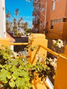 a yellow fence with a plant in front of a building at Hostal 1545 in Ríohacha