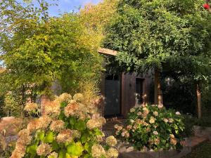 um jardim com flores em frente a uma casa em Jeltje em Wildervank