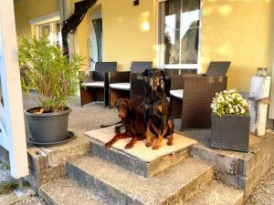Posezení v ubytování Ferienwohnung Toja