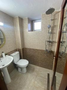 een badkamer met een toilet, een wastafel en een douche bij Casa Cireșu in Cireşu