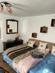 Llit o llits en una habitació de Casa Cireșu