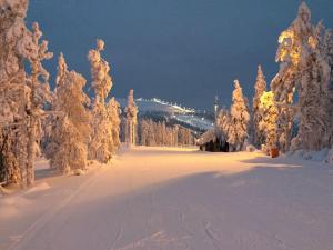 una carretera nevada con árboles nevados y luces en Levi Chalets, en Kittilä