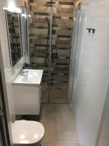 een badkamer met een douche, een toilet en een wastafel bij Jeltje in Wildervank