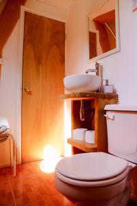 a bathroom with a toilet and a sink at Milodge Elqui Domos in Pisco Elqui