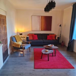 un soggiorno con divano e tappeto rosso di Het Blauwe Salamander Huis 
