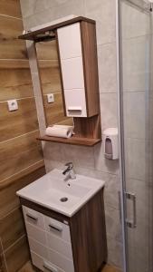 a bathroom with a sink and a mirror and a shower at Apartman Moj mir Jahorina in Jahorina +12 photos