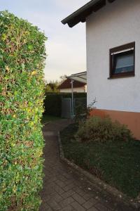 a hedge in front of a house and a building at Lilli`s Ferienwohnung in Sinsheim