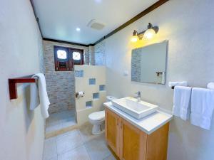 a bathroom with a sink and a toilet and a mirror at Santosha Barbados in Saint Andrew