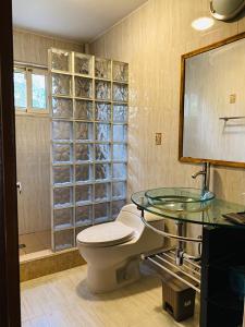 a bathroom with a toilet and a glass sink at Villa Mi Dushi Cas Aruba in Palm-Eagle Beach