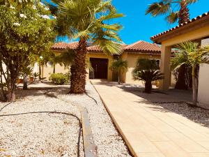 a house with palm trees and a walkway at Villa Mi Dushi Cas Aruba in Palm-Eagle Beach