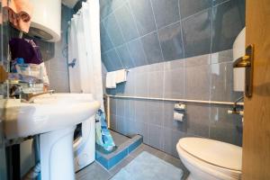 bagno con lavandino e servizi igienici di Apartment Dobre Vode a Žabljak