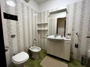 a bathroom with a toilet and a sink and a mirror at Pinzolo Centro - Baita Spaziosa con Vista sui Monti in Giustino