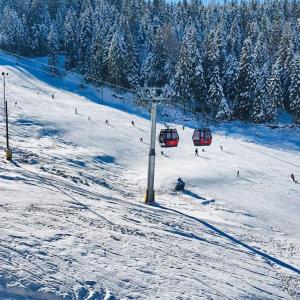 a group of people skiing down a snow covered ski slope at Nature Nest - Boutique Apartment - Ravna Planina in Pale