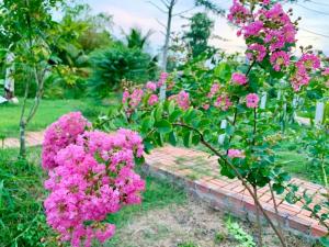 Un jardín fuera de Mekong Cozy Travel Breakfast DinnerTwoBoatTours Included for 2nights