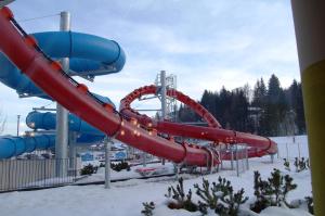 een waterglijbaan in een skigebied in de sneeuw bij Appartements am Edthof in Eben im Pongau