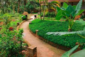 a dirt path in a garden with trees and plants at Wayal Wayanad Heritage villa in Panamaram