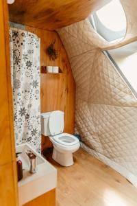 a bathroom with a toilet in a tiny house at Domos Uspallata in Uspallata