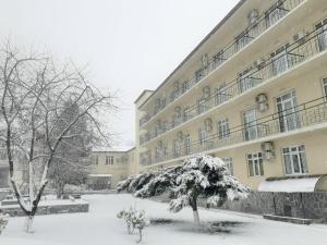 un edificio cubierto de nieve con un árbol delante de él en Gabala Hotel en Daşca