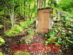 a wooden door in the middle of a forest at Srub na svahu sjezdovky v Radvanicích in Radvanice